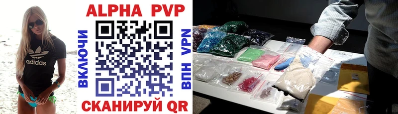 A PVP СК Кингисепп