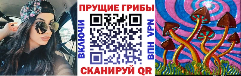 купить   площадка телеграм  Псилоцибиновые грибы GOLDEN TEACHER  Кингисепп 